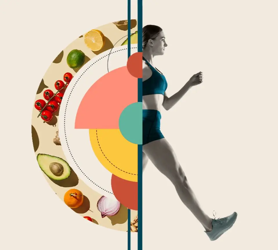 Nutrition Diploma / Metabolism