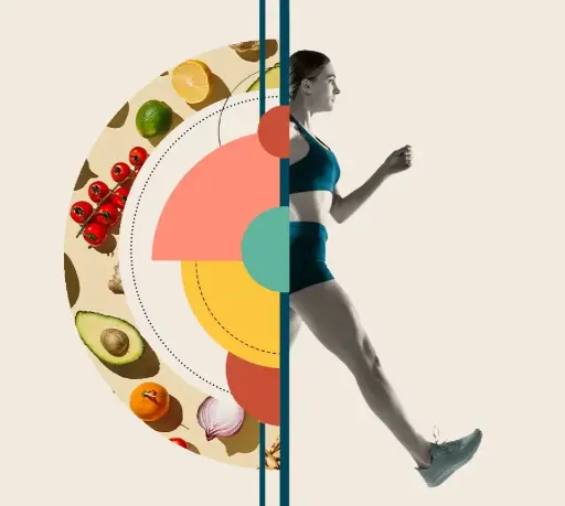 Nutrition Diploma / Metabolism